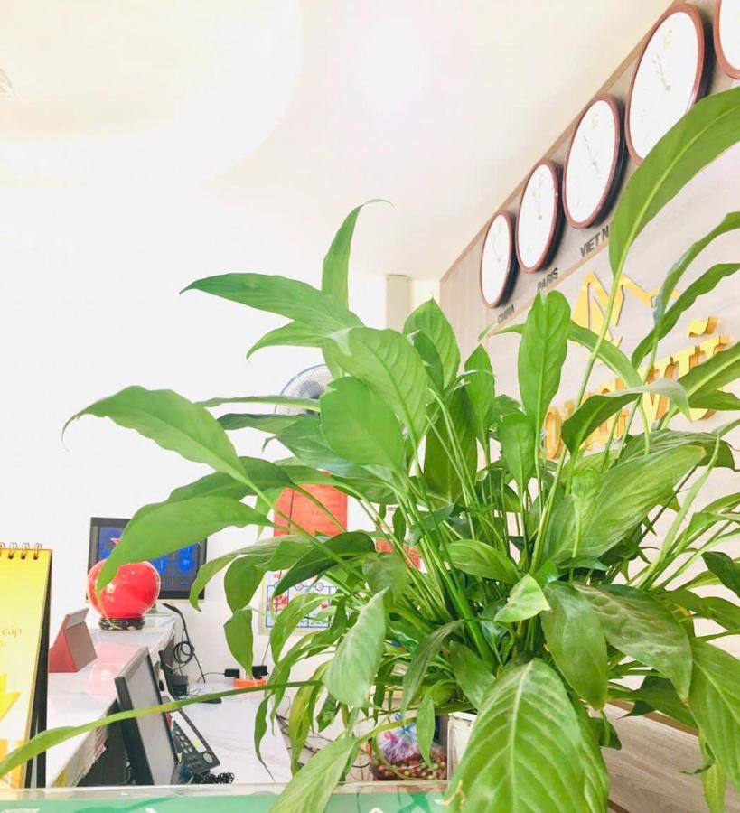 Long Vu Hotel Lang Son Bagian luar foto